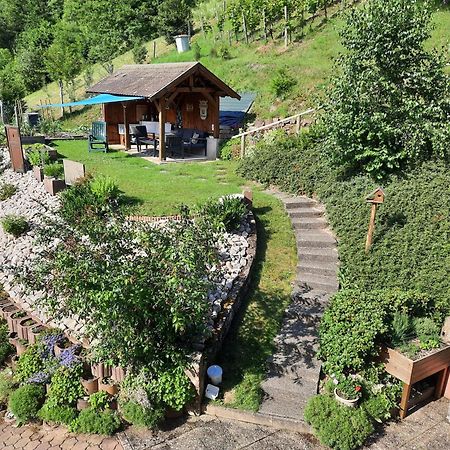 Chambres D'Hotes "Au Val Sejour" Alsace Saint-Martin  Exteriör bild