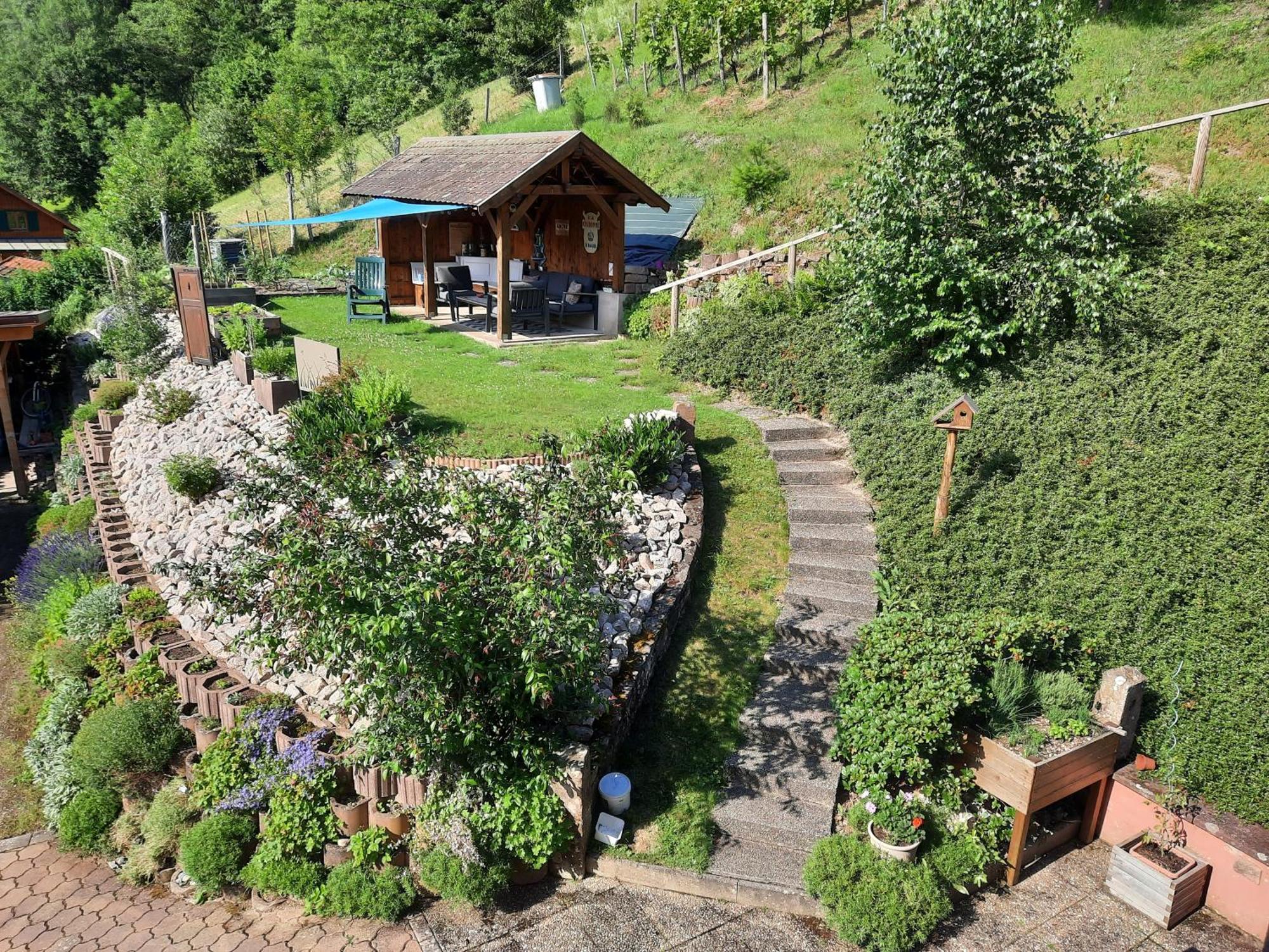 Chambres D'Hotes "Au Val Sejour" Alsace Saint-Martin  Exteriör bild