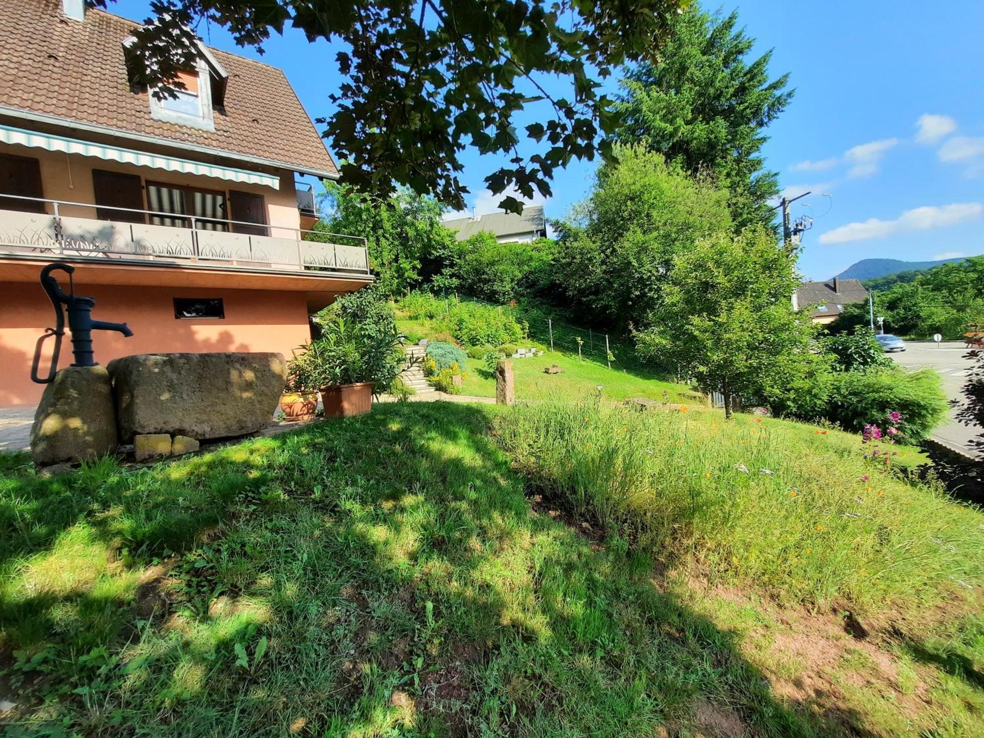 Chambres D'Hotes "Au Val Sejour" Alsace Saint-Martin  Exteriör bild