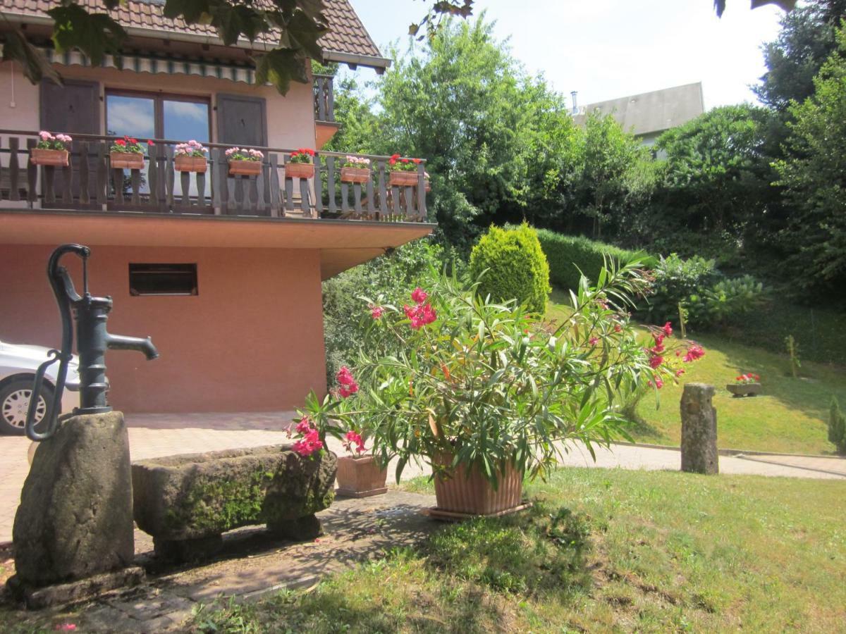 Chambres D'Hotes "Au Val Sejour" Alsace Saint-Martin  Exteriör bild