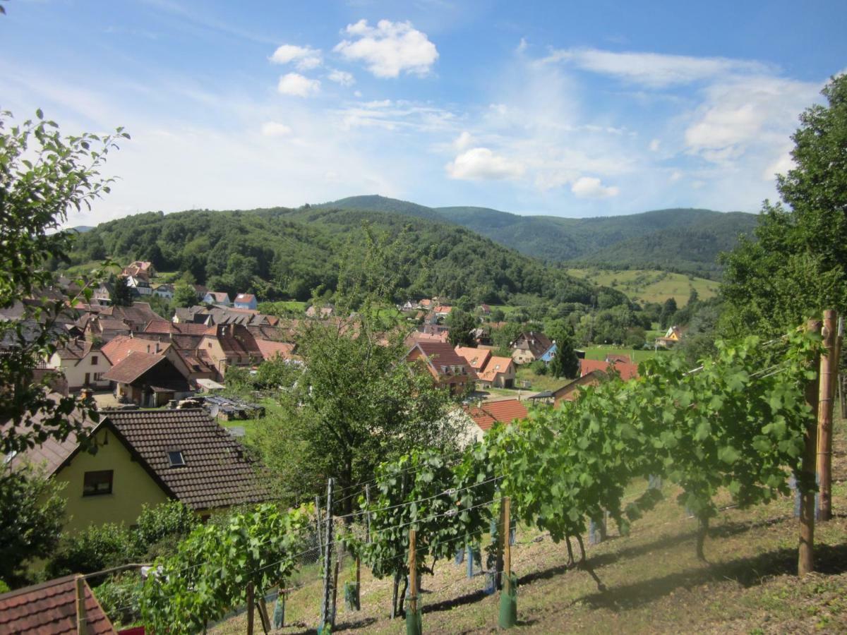 Chambres D'Hotes "Au Val Sejour" Alsace Saint-Martin  Exteriör bild